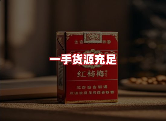 专业团队